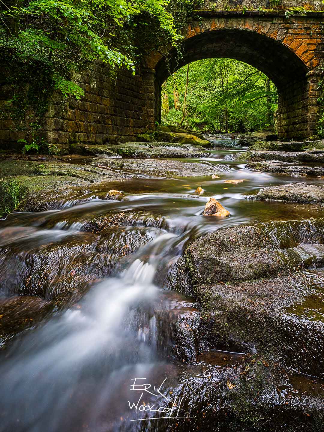 Bridge near Falling Foss #2